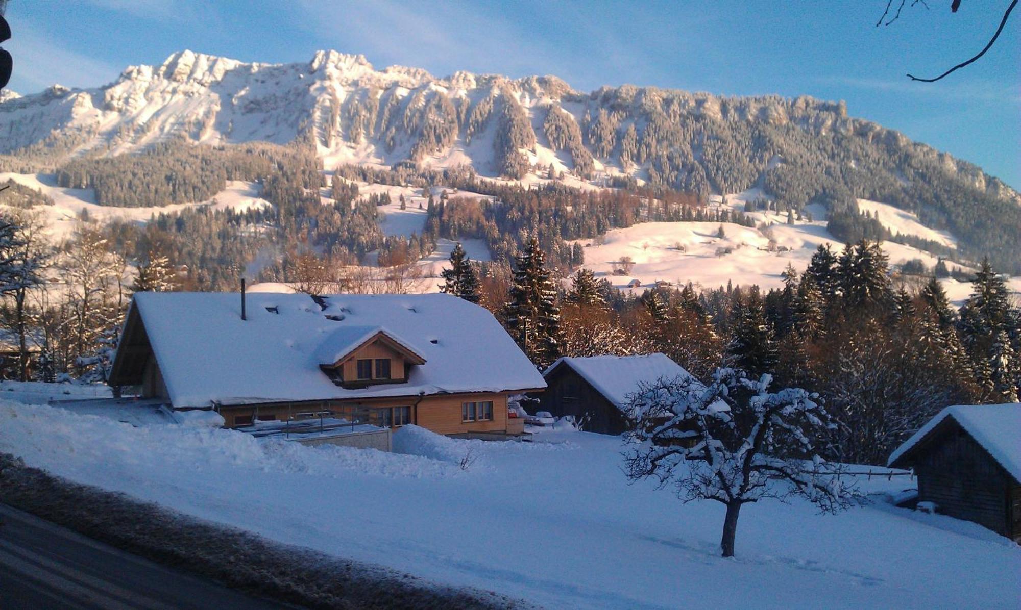 Rothorn Vintage-style Hotel Sigriswil